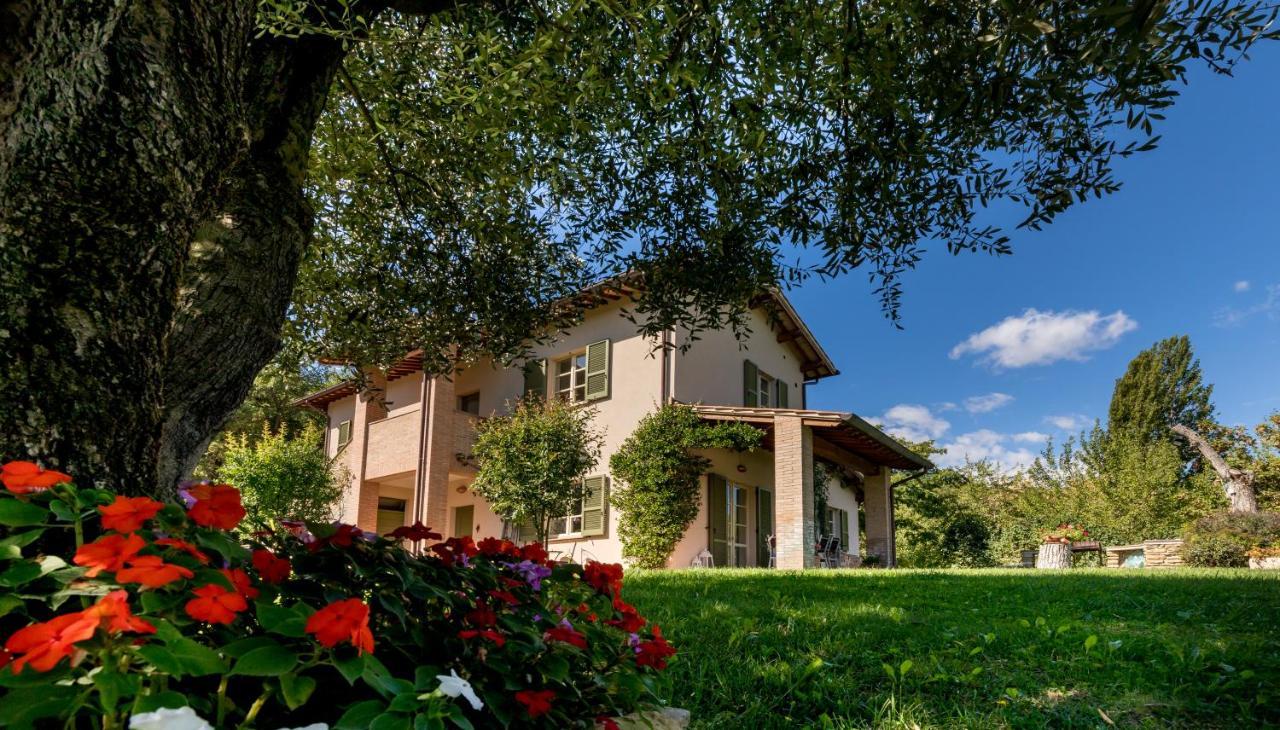 Altra Meta B&B Gubbio Exterior foto